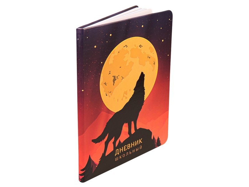 Купить оптом Дневник школьный 48л. "ПОЛНОЛУНИЕ" (кожзам) Д48-5039 в Луганске