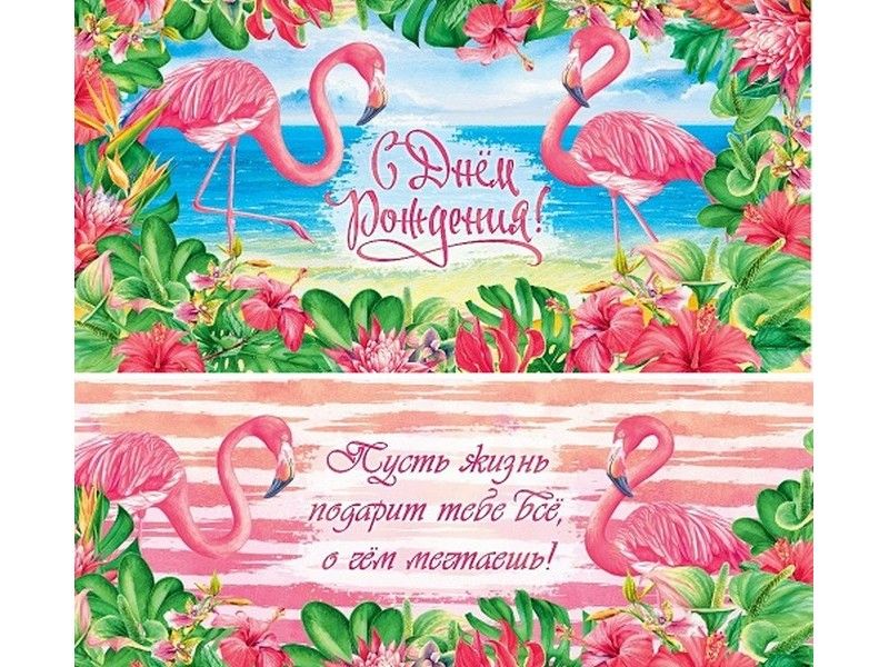 Конверт для денег "С днем рождения!" (фламинго) 1-20-0944