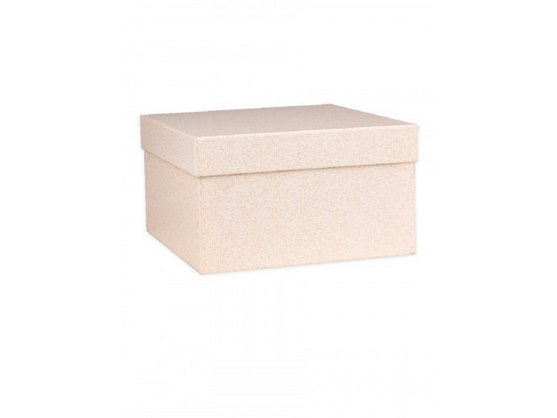 Коробка одинарная квадратная "ВАНИЛЬ" (21,5*21,5*11см) НПК-7481