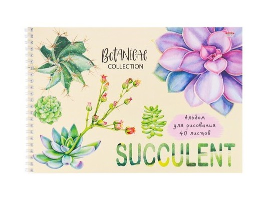 Альбом для рисования А4 40л. СУККУЛЕНТЫ (гребень, офсет) 40-5478