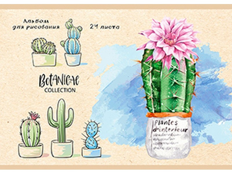 Альбом для рисования А4 24л. ЦВЕТУЩИЙ КАКТУС-1 (скрепка, обл. офсет) 24-1462