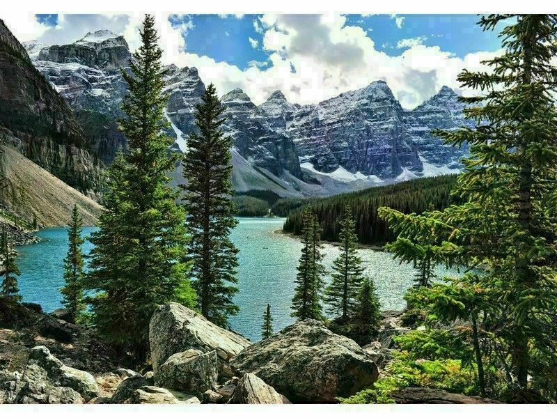 Холст с красками 22х30 см по номерам. ГОРНЫЙ ЛЕС