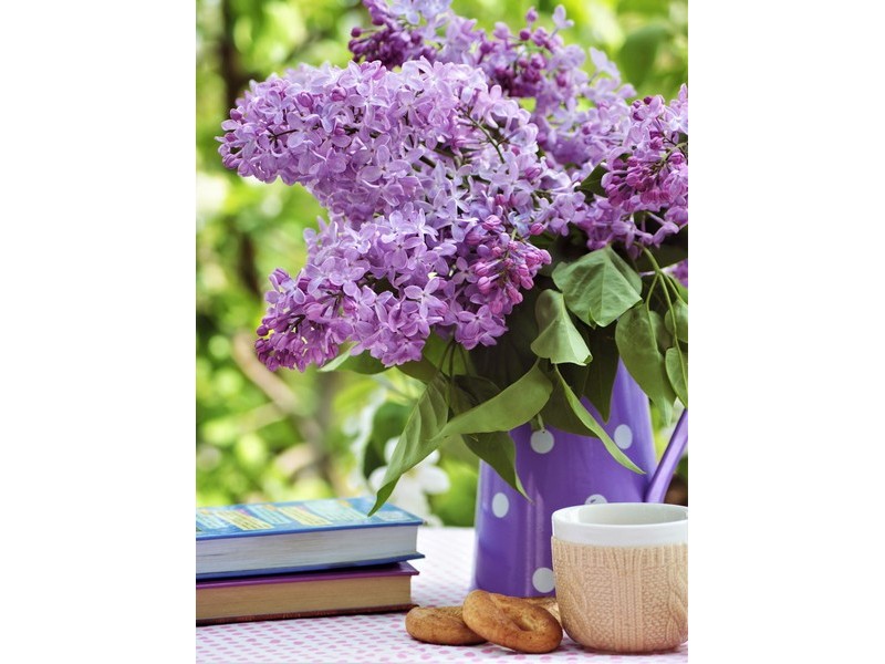 Холст с красками 22х30 см по номерам. БУКЕТ СИРЕНИ И КНИГИ