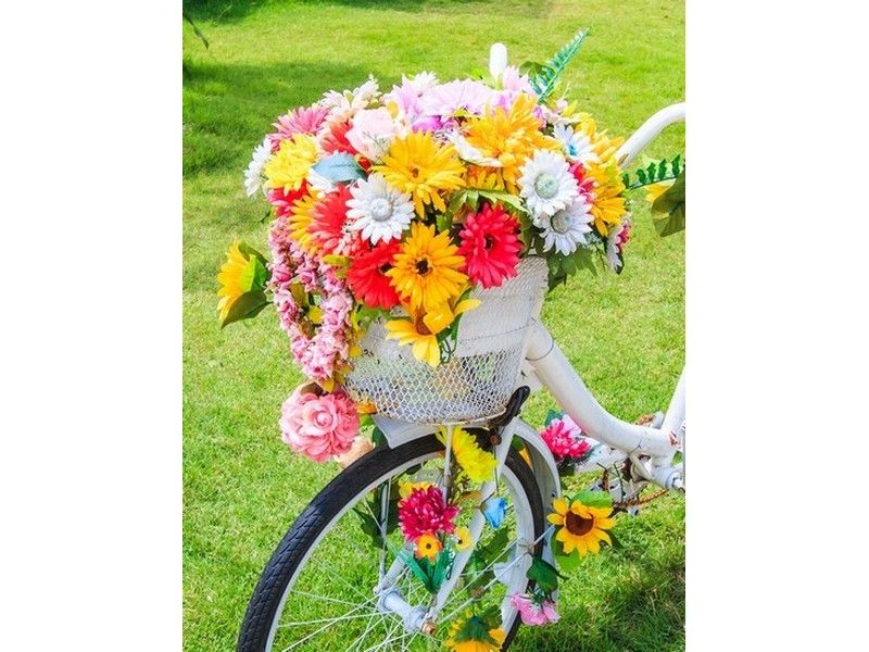 Холст с красками 30х40 см по номерам. ЦВЕТЫ В КОРЗИНЕ ВЕЛОСИПЕДА