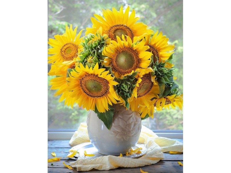 Холст с красками 30х40 см по номерам. ЯРКИЕ ПОДСОЛНУХИ В БЕЛОЙ ВАЗЕ