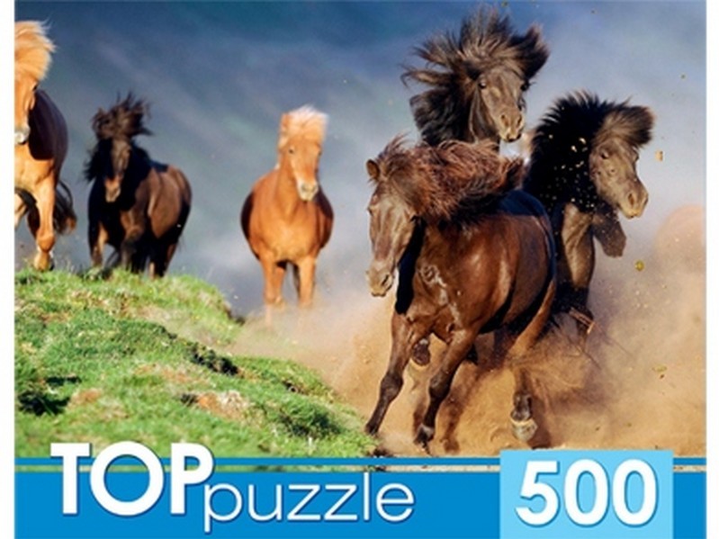 TOPpuzzle ПАЗЛЫ 500 элементов БЕГУЩИЙ ТАБУН