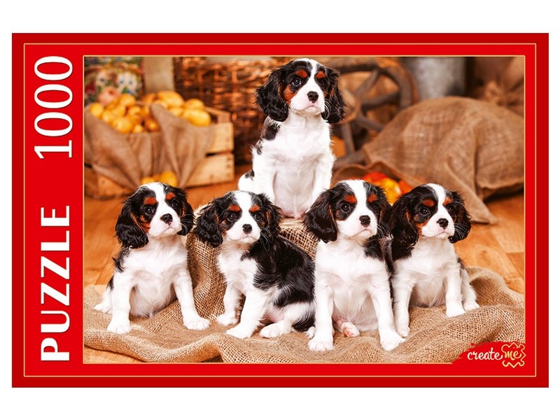 ПАЗЛЫ 1000 элементов. ЩЕНКИ КАВАЛЕР-КИНГ-ЧАРЛЬЗ-СПАНИЕЛЯ
