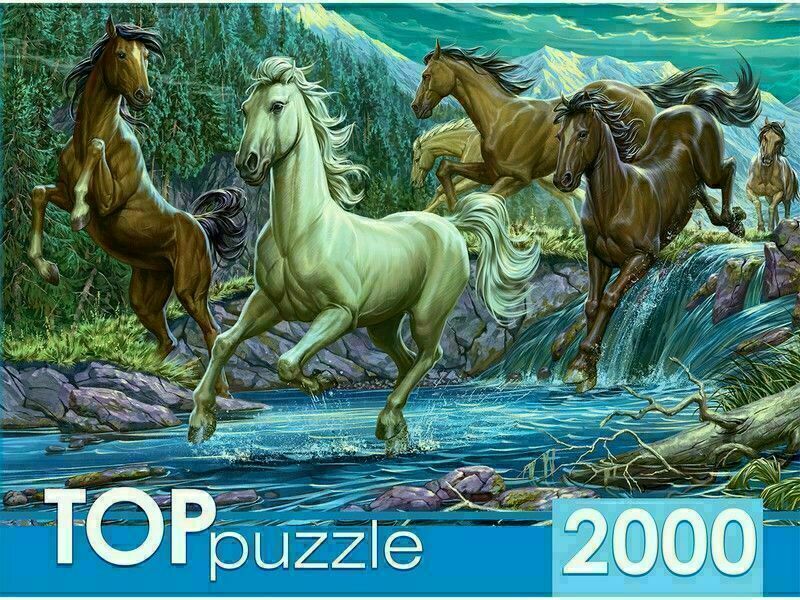 TOPpuzzle ПАЗЛЫ 2000 элементов. НОЧНОЙ ТАБУН ЛОШАДЕЙ