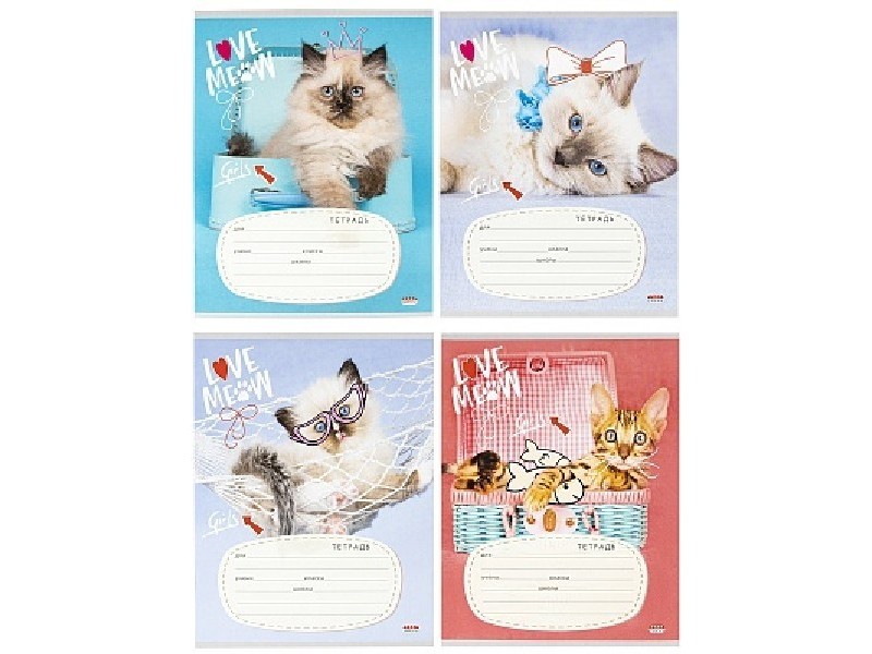 Тетрадь КЛЕТКА 12л. ЗАБАВНЫЙ КОТИК (цвет. мелов. обл.) 12-4344