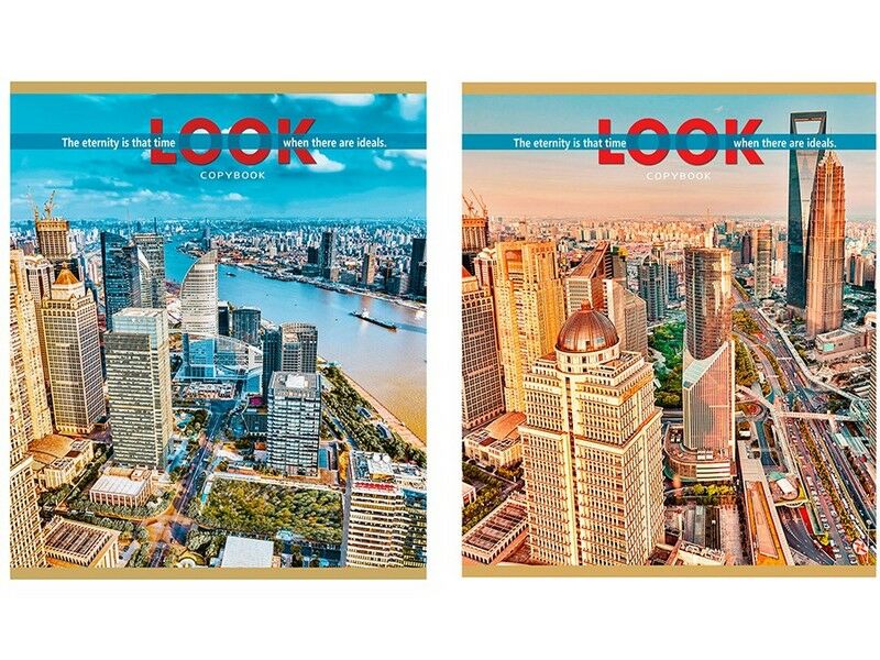 Тетрадь КЛЕТКА 48л. ВИД НА МЕГАПОЛИСЫ (гребень, цвет. мелов. обл.) 48-4540