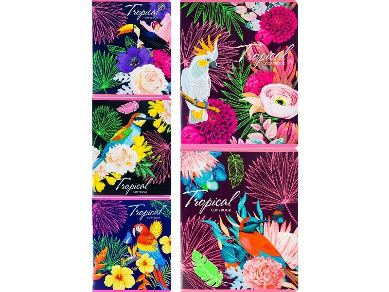 Тетрадь КЛЕТКА 48л. ПТИЧКИ ИЗ ТРОПИКОВ (цвет. мелов. обл.)