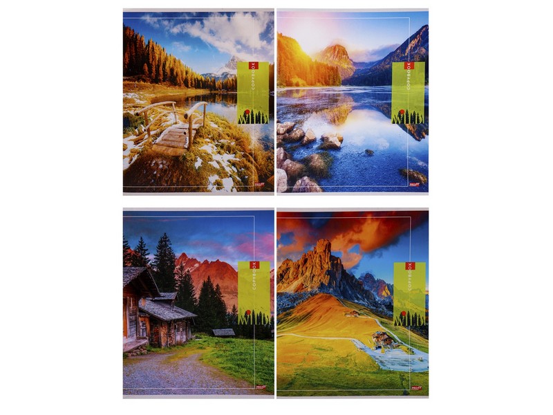 Купить оптом Тетрадь ЛИНИЯ 96л "БЕЗМЯТЕЖНАЯ ПРИРОДА" (цвет. мелов. обл.) в Луганске