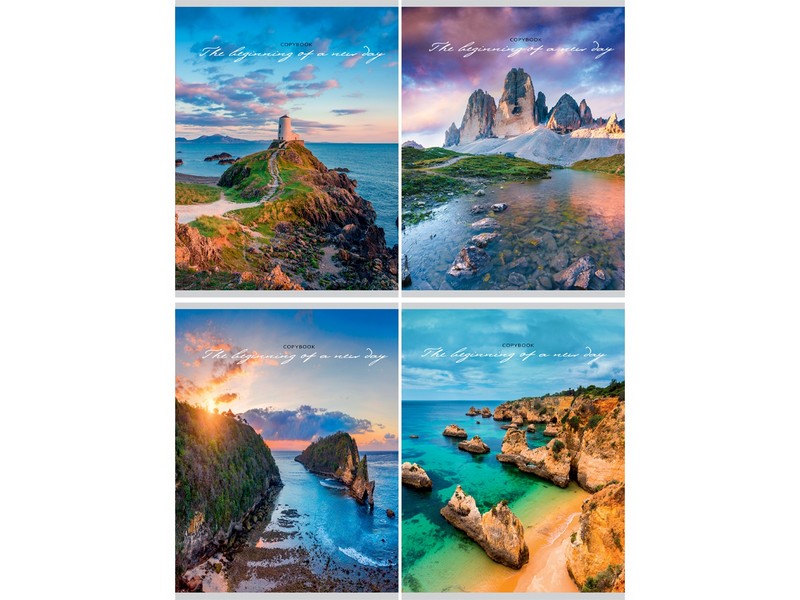 Тетрадь КЛЕТКА 96л. ЧАРУЮЩИЕ ВИДЫ (цвет. мелов. обл.)