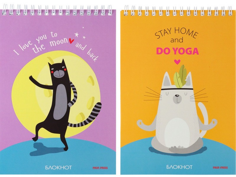 БЛОКНОТ А5 80л. клетка КОШАЧЬЯ ЖИЗНЬ-2 (гребень, цвет. мелов. обл.)