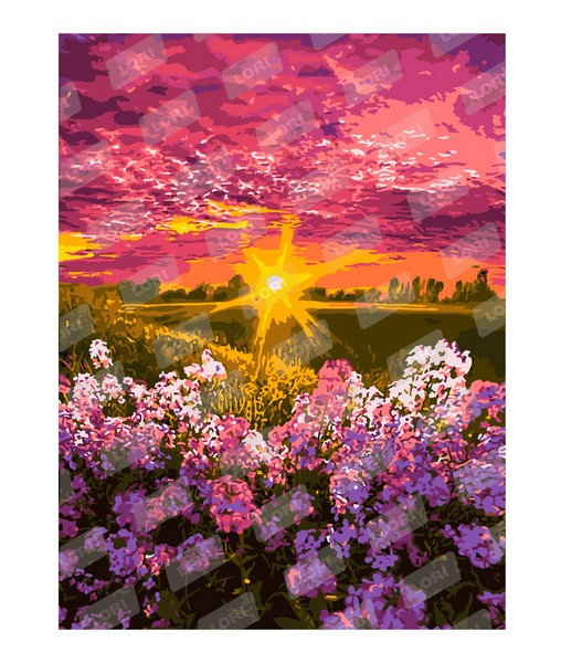 Холст с красками 30х40 см по номерам. СОЛНЕЧНЫЕ ЛУЧИ