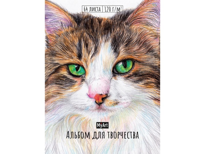 MyArt. Скетчбук А4 64 л КОТ (7БЦ, мат. лам., на резинке)