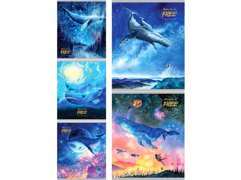 Тетрадь КЛЕТКА 24л "ПАРЯЩИЕ КИТЫ-1" (цвет. мелов. обл.)