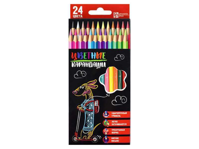 Набор цветных трёхгранных карандашей «ТАКСА НА САМОКАТЕ» 24 цвета