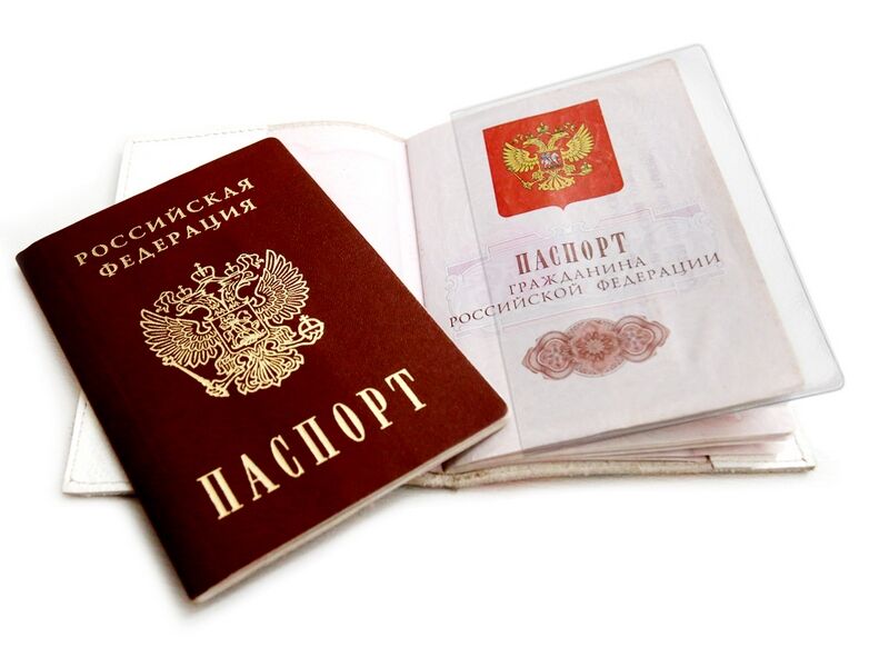 Набор обложка-чехол для листов паспорта ПВХ 110 мкм 87-128 мм "апельсиновая корка" 60 шт