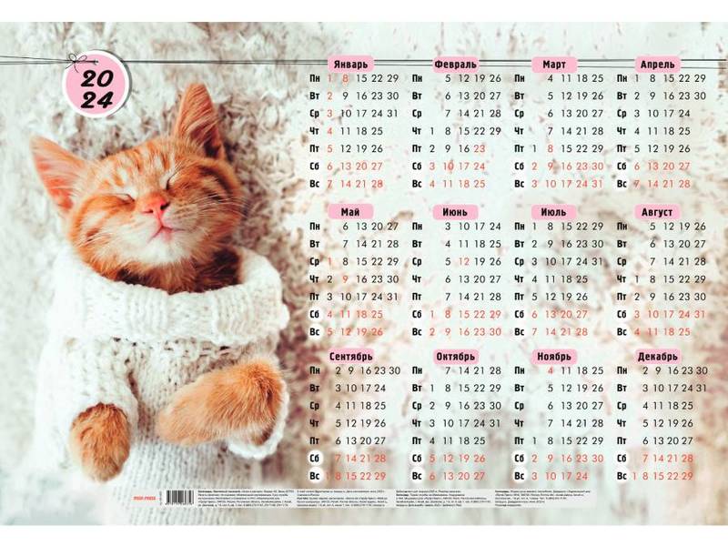 Календарь настенный листовой А2 «КОТИК В СВИТЕРЕ» (мелов. бумага)