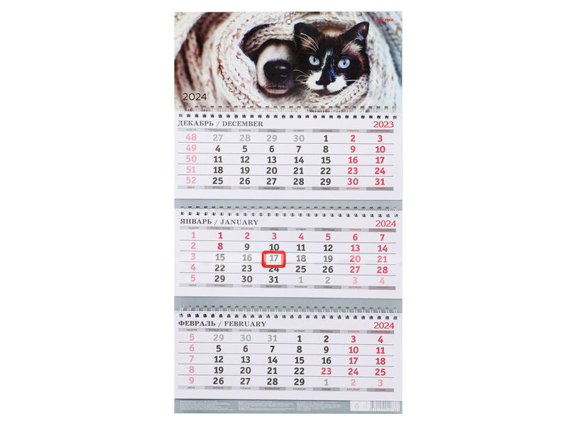 Календарь настенный квартальный 110*245 мм «КОШЕЧКА С СОБАЧКОЙ» с бегунком (3 гребня, 3 блока, блок офсет)