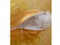 Подушка-игрушка Рыба Горбыль 180см VPH-001 2