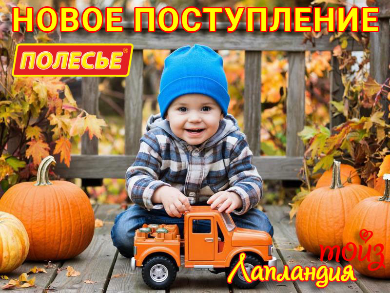 Большое поступление — Конструкторы, машины и каталки ТМ «Полесье».