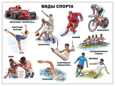 Купить оптом ПЛАКАТ. ВИДЫ СПОРТА в Луганске