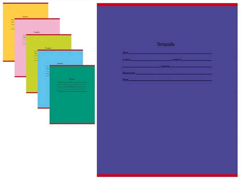 Тетрадь ЛИНИЯ 24л. ШКОЛЬНАЯ КЛАССИКА (цвет. мелов. обл.)