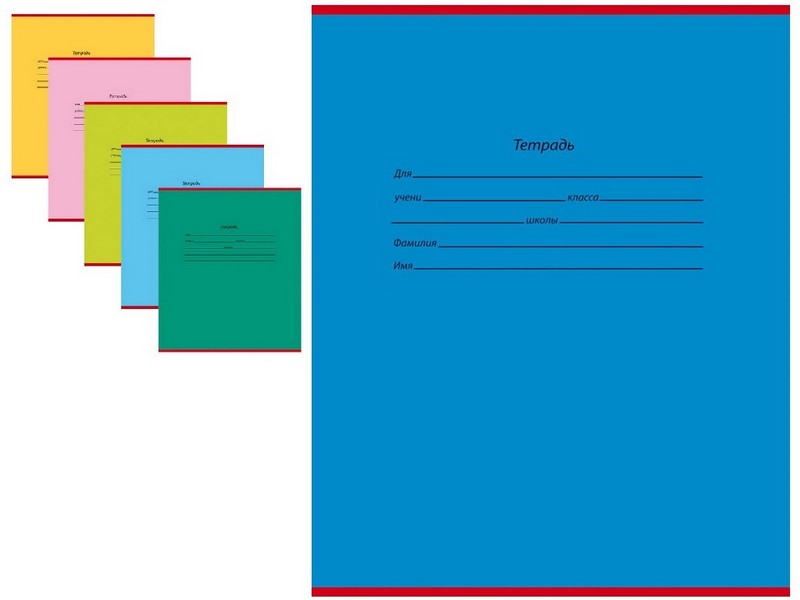 Тетрадь ЛИНИЯ 18л. ШКОЛЬНАЯ КЛАССИКА (цвет. мелов. обл.)