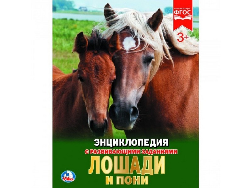 ЭНЦИКЛОПЕДИЯ А4. ЛОШАДИ И ПОНИ (С РАЗВИВАЮЩИМИ ЗАДАНИЯМИ)
