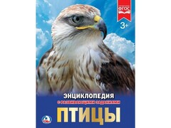 29356 []ЭНЦИКЛОПЕДИЯ А4. ПТИЦЫ (С РАЗВИВАЮЩИМИ ЗАДАНИЯМИ)