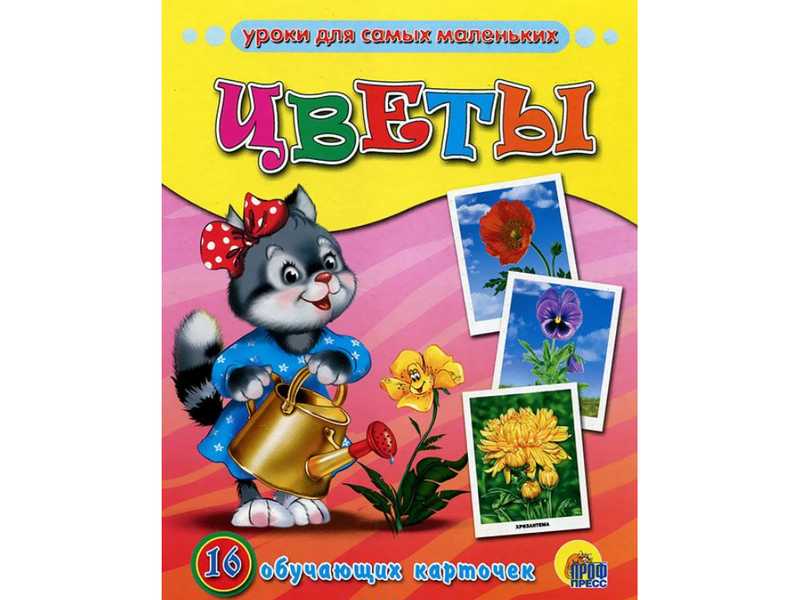 Купить оптом ОБУЧАЮЩИЕ КАРТОЧКИ. ЦВЕТЫ в Луганске