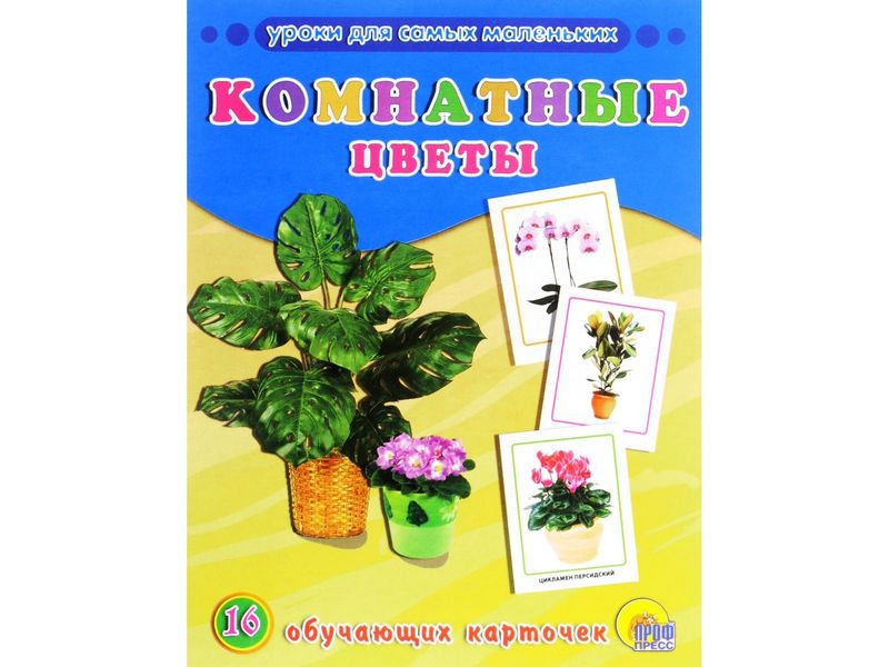 ОБУЧАЮЩИЕ КАРТОЧКИ. КОМНАТНЫЕ ЦВЕТЫ