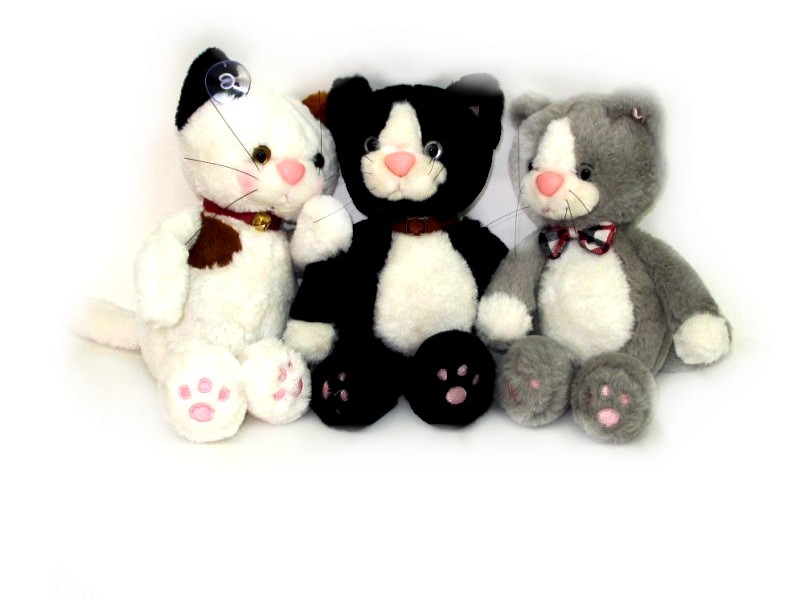 Кот 3 цв. 1254-12/23