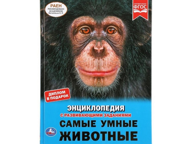 ЭНЦИКЛОПЕДИЯ А4. САМЫЕ УМНЫЕ ЖИВОТНЫЕ (С РАЗВИВАЮЩИМИ ЗАДАНИЯМИ)