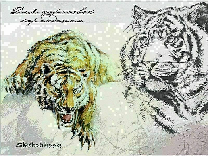 Скетчбук А5 48л "ЭСКИЗ ТИГРА" (скрепка, офсет)