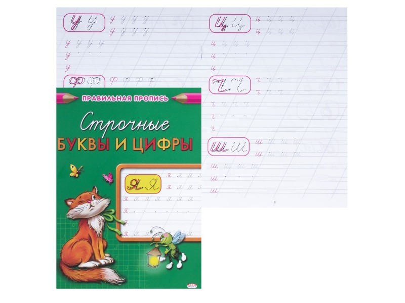 Пропись А5 8л. СТРОЧНЫЕ БУКВЫ И ЦИФРЫ (цвет. мелов. обл.) ПР-2999