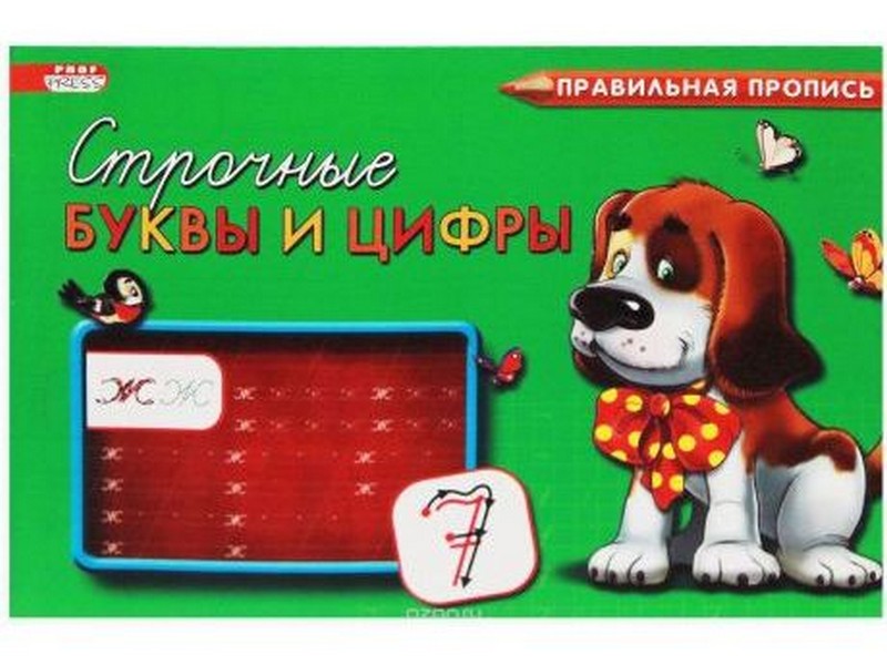 Пропись А5 8л. альбомная СТРОЧНЫЕ БУКВЫ И ЦИФРЫ (цвет. мелов. обл.) ПР-3003