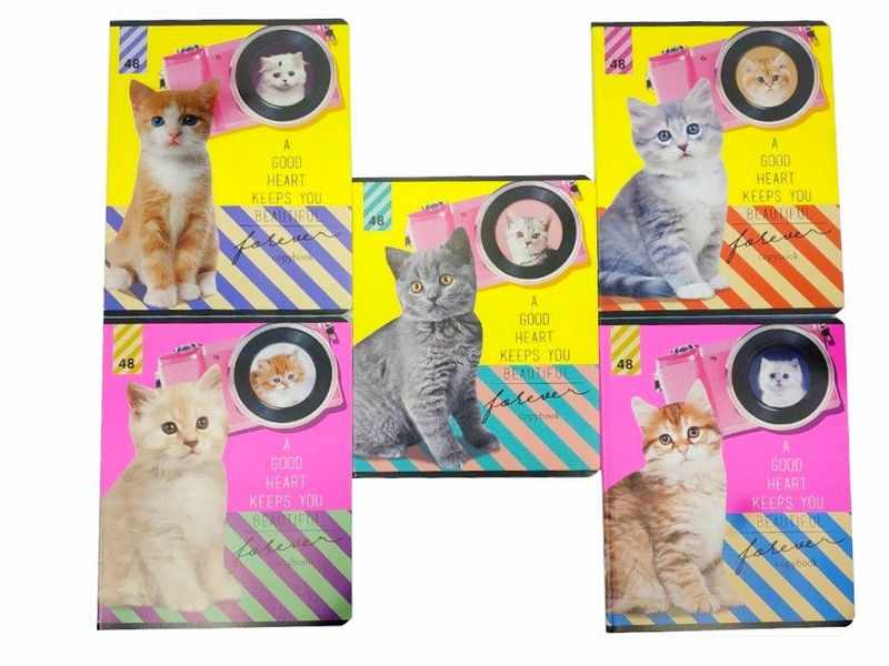 Тетрадь КЛЕТКА 48л. КОШКИ И ФОТОАППАРАТ (цвет. мелов. обл.)