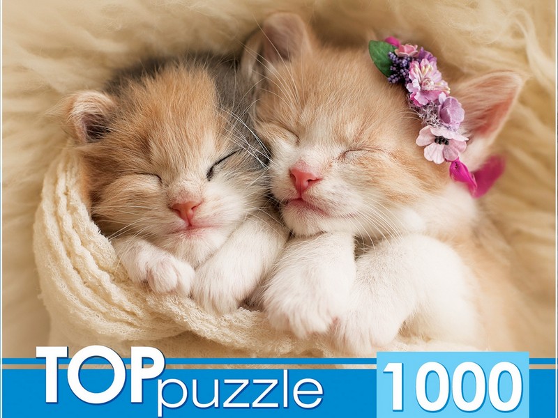 TOPpuzzle ПАЗЛЫ 1000 элементов. ДВА СПЯЩИХ КОТЕНКА