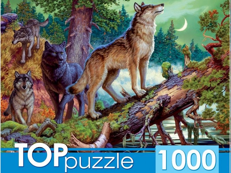 TOPpuzzle ПАЗЛЫ 1000 элементов. ВОЛКИ В НОЧНОМ ЛЕСУ