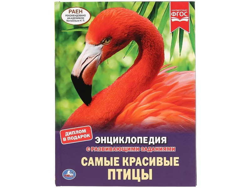 ЭНЦИКЛОПЕДИЯ А4. САМЫЕ КРАСИВЫЕ ПТИЦЫ (С РАЗВИВАЮЩИМИ ЗАДАНИЯМИ)