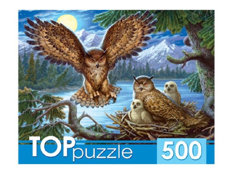TOPpuzzle ПАЗЛЫ 500 элементов. НОЧНЫЕ СОВЫ