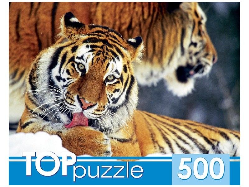 TOPpuzzle ПАЗЛЫ 500 элементов. ДВА ТИГРА