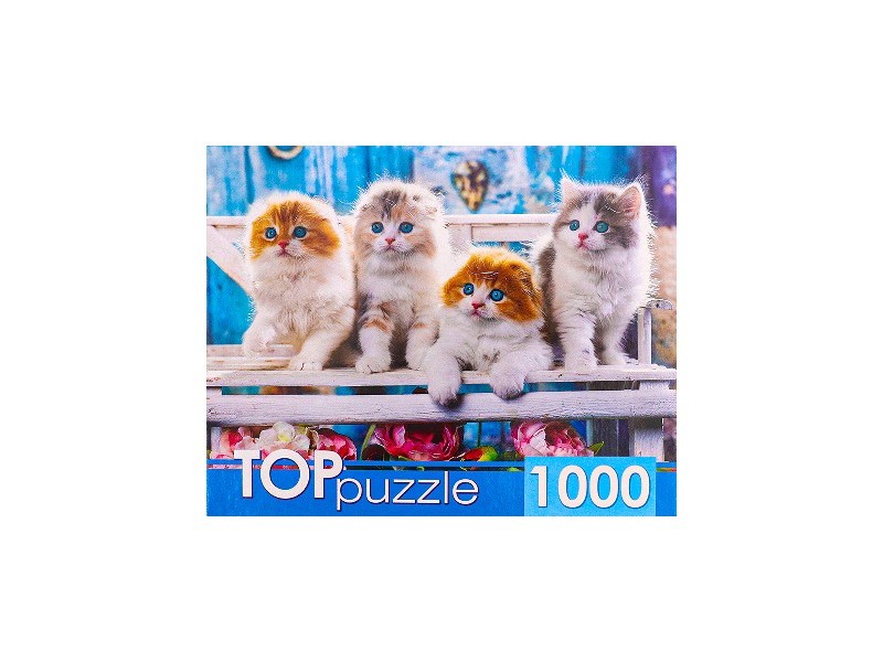 TOPpuzzle ПАЗЛЫ 1000 элементов КОТЯТА СКОТТИШ ФОЛД