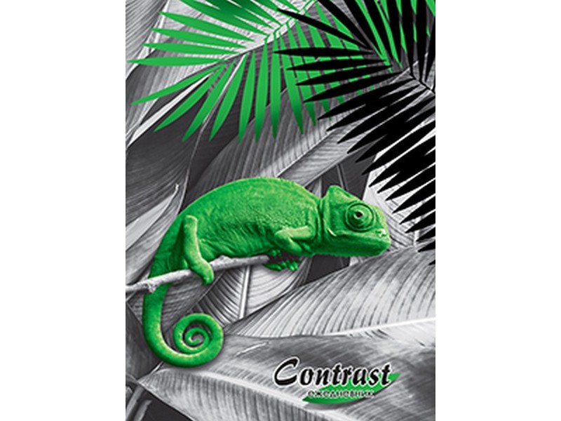 ЕЖЕДНЕВНИК А5 80л. недатир. ХАМЕЛЕОН КОНТРАСТ (цвет. мелов. обл.) 80-1270