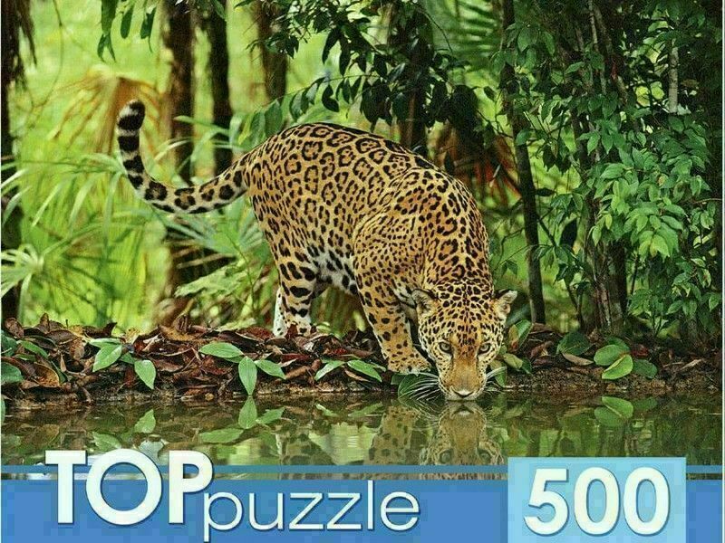 TOPpuzzle ПАЗЛЫ 500 элементов. ЯГУАР НА ВОДОПОЕ