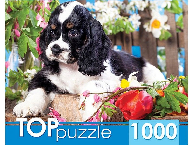 Купить оптом TOPpuzzle ПАЗЛЫ 1000 элементов. ЩЕНОК СПАНИЕЛЯ В САДУ в Луганске