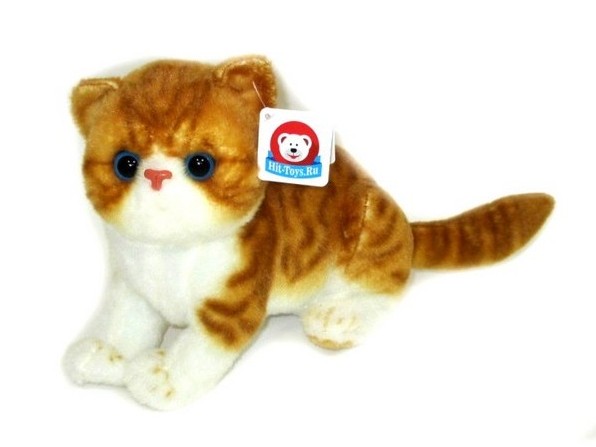 Кошка сидит EHR26T-26